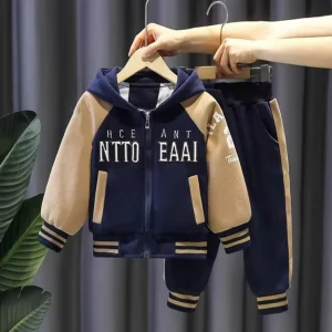 Boys' spring / autumn embroidered hooded two piece set